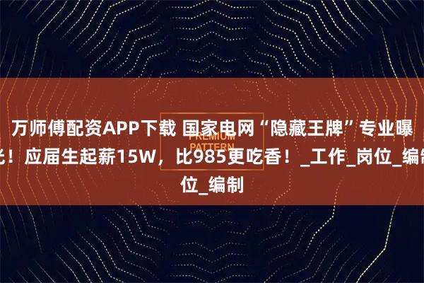 万师傅配资APP下载 国家电网“隐藏王牌”专业曝光！应届生起薪15W，比985更吃香！_工作_岗位_编制