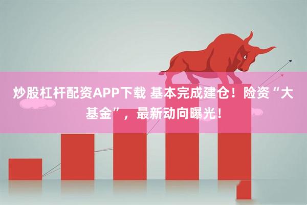炒股杠杆配资APP下载 基本完成建仓!险资“大基金”,最新动向曝光!